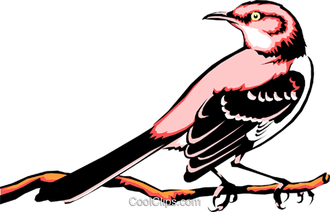 Mocking Bird Royalty Free Vector Clip Art Illustration - Pink Black And White Bird (480x308)