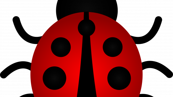 Reliable Ladybug Images Free Ladybugs Clipart Download - Clip Art Ladybug (585x329)