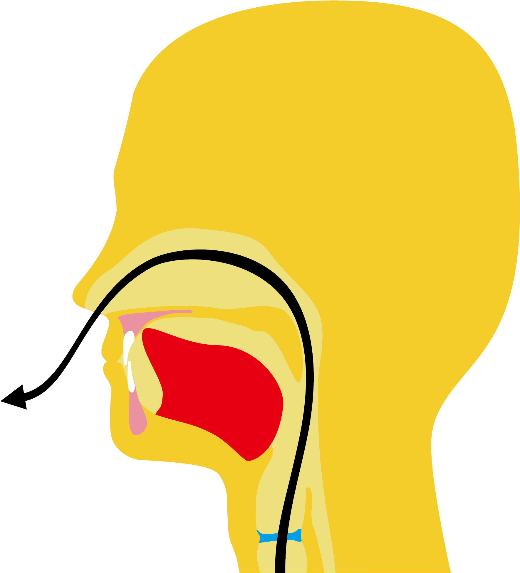 Lsd Visual Sign Language Dictionary - Lsd Visual Sign Language Dictionary (2433x2433)