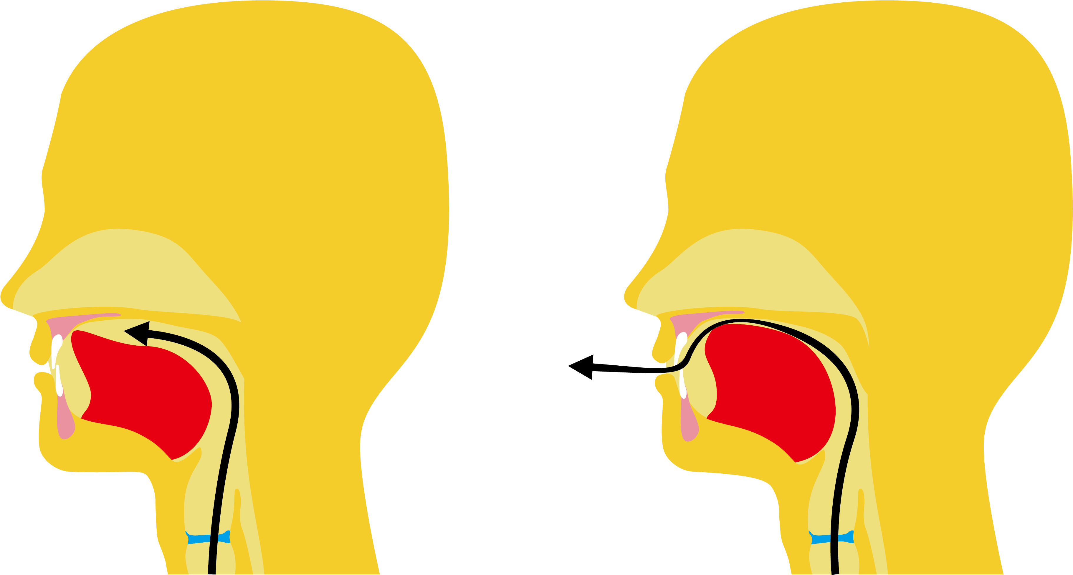 Lsd Visual Sign Language Dictionary - Lsd Visual Sign Language Dictionary (4559x2433)
