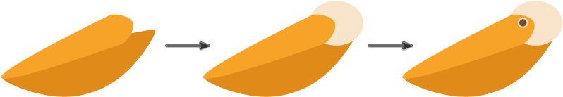 How To Create The Head And Eye - Graphic Design (850x219)