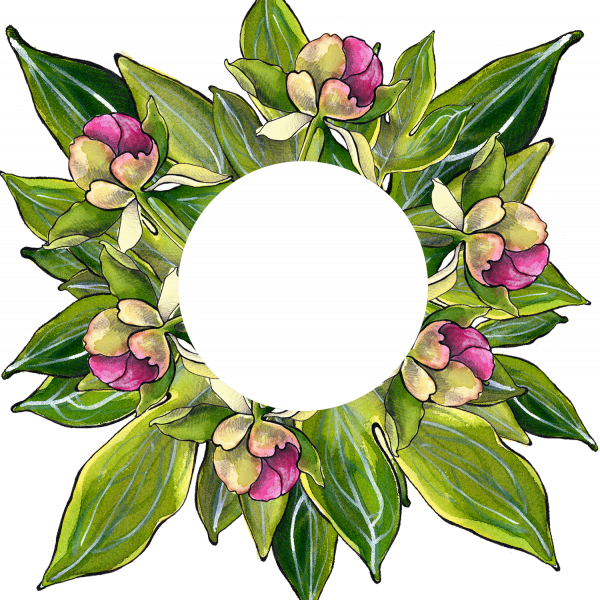 Peonies - Bouquet (600x600)