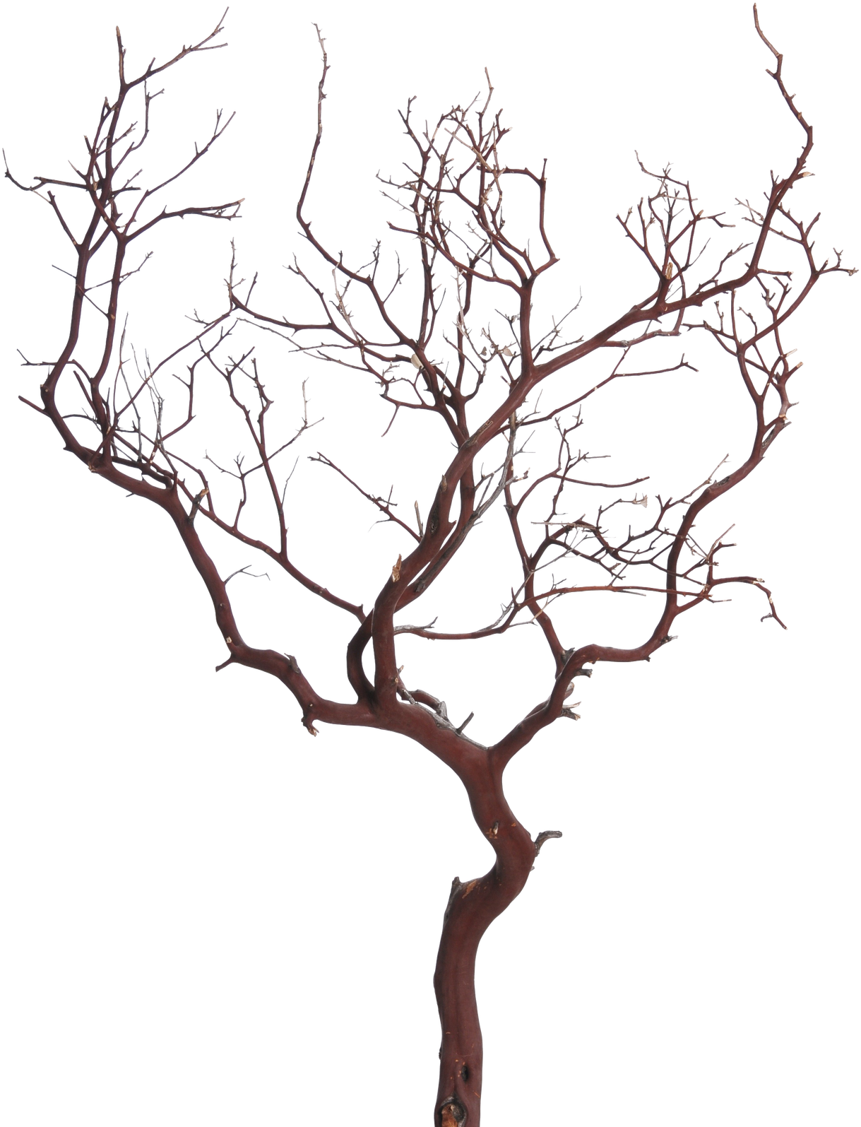 In Which We Will Share All Of Our Recommended Resources, - Bargello Avenue (1275x1920)