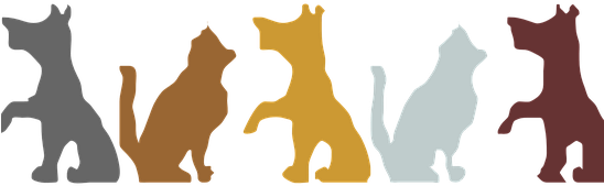 Com/the Cat Raised The Dog On - Dog Letterhead (547x273)