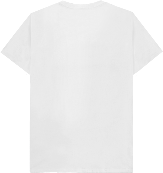 plain white t shirt back side