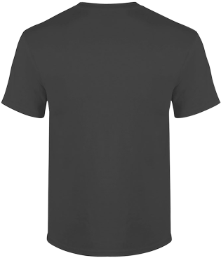 Shirts Adult Ultra Cotton Gildan - Audioslave Like A Stone T Shirt (416x416)