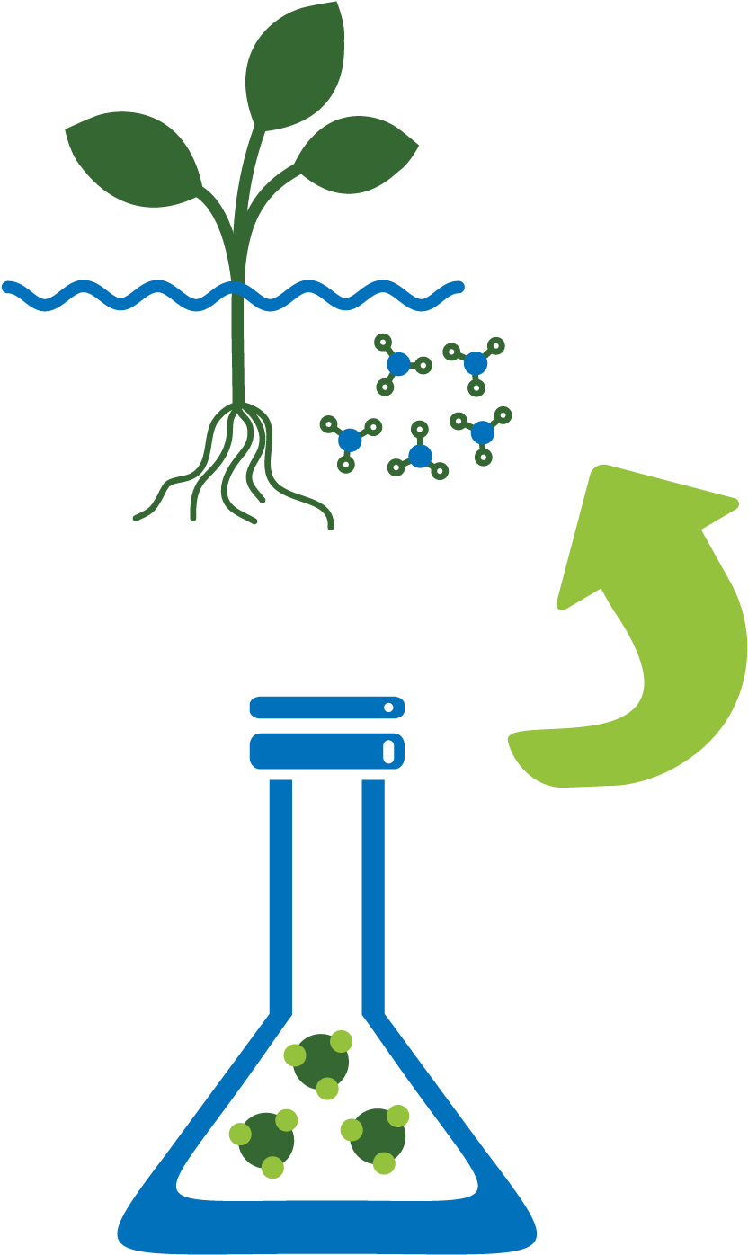 Vertical Farming Is An Indoor Farming Technique Where - Illustration (1000x1501)