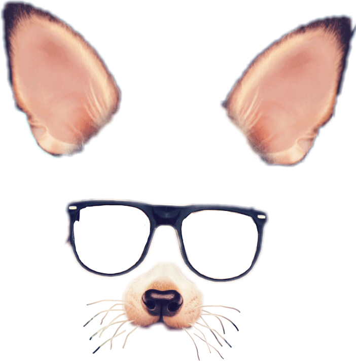 Snapchat Filters Clipart Face - Snapchat Dog Filter With Glasses (702x712)