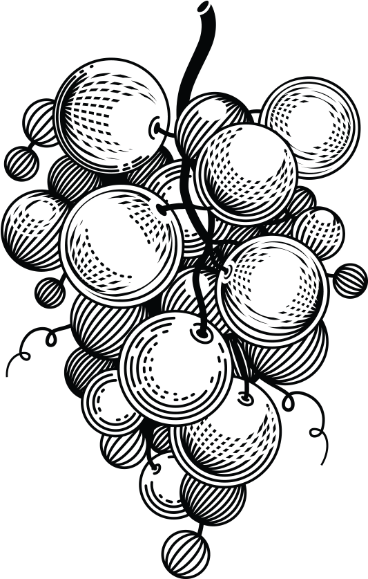 Clipart Mac Elbow Transparent Noodles Png Clipart Png - Grape (1000x1000)