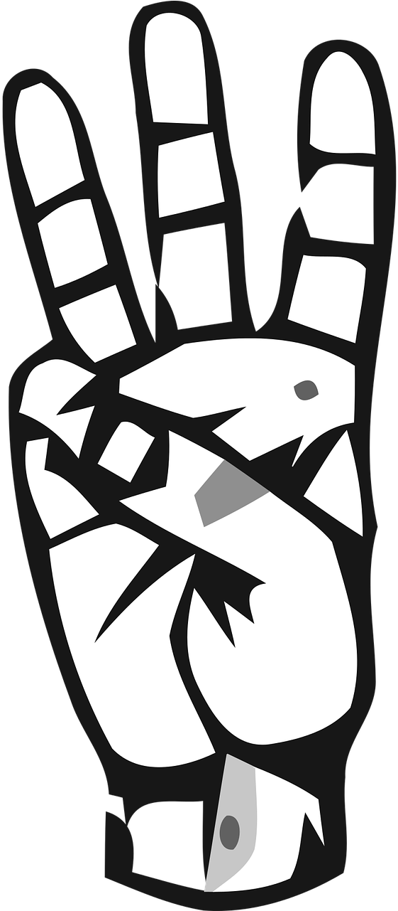 Alphabet Deaf Deaf Alphabet - Number 6 Sign Language (640x1280)