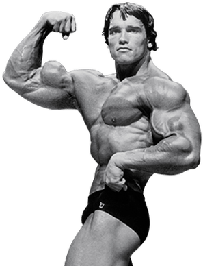 Arnold Schwarzenegger Png File - Arnold Schwarzenegger Png (400x400)