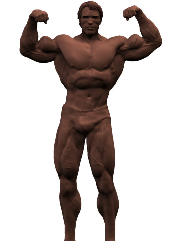 Arnold Schwarzenegger Transparent Background - Arnold Schwarzenegger No Background (705x1024)