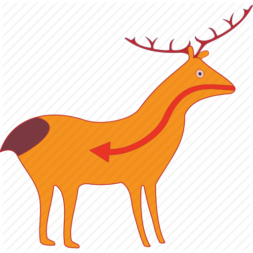 Animal Antelope Art Deer Mammals Ⓒ - Illustration (512x512)