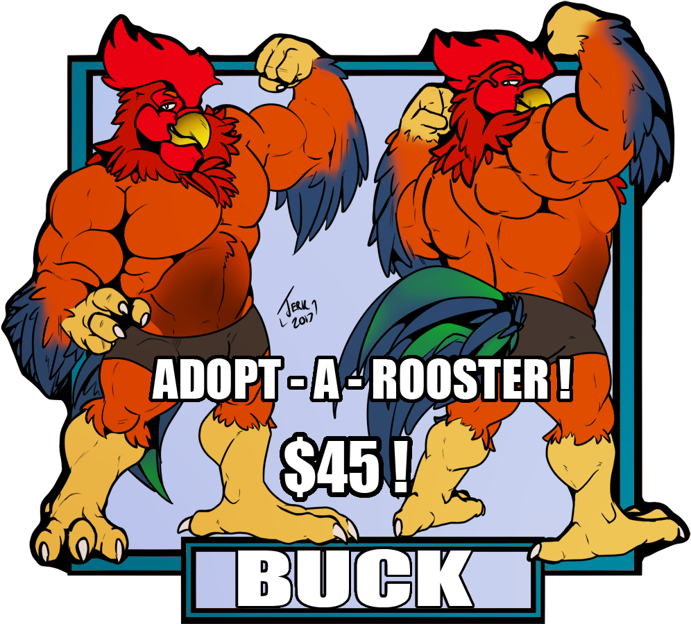 Adoptable - Buck - They Said Meme (1030x992)