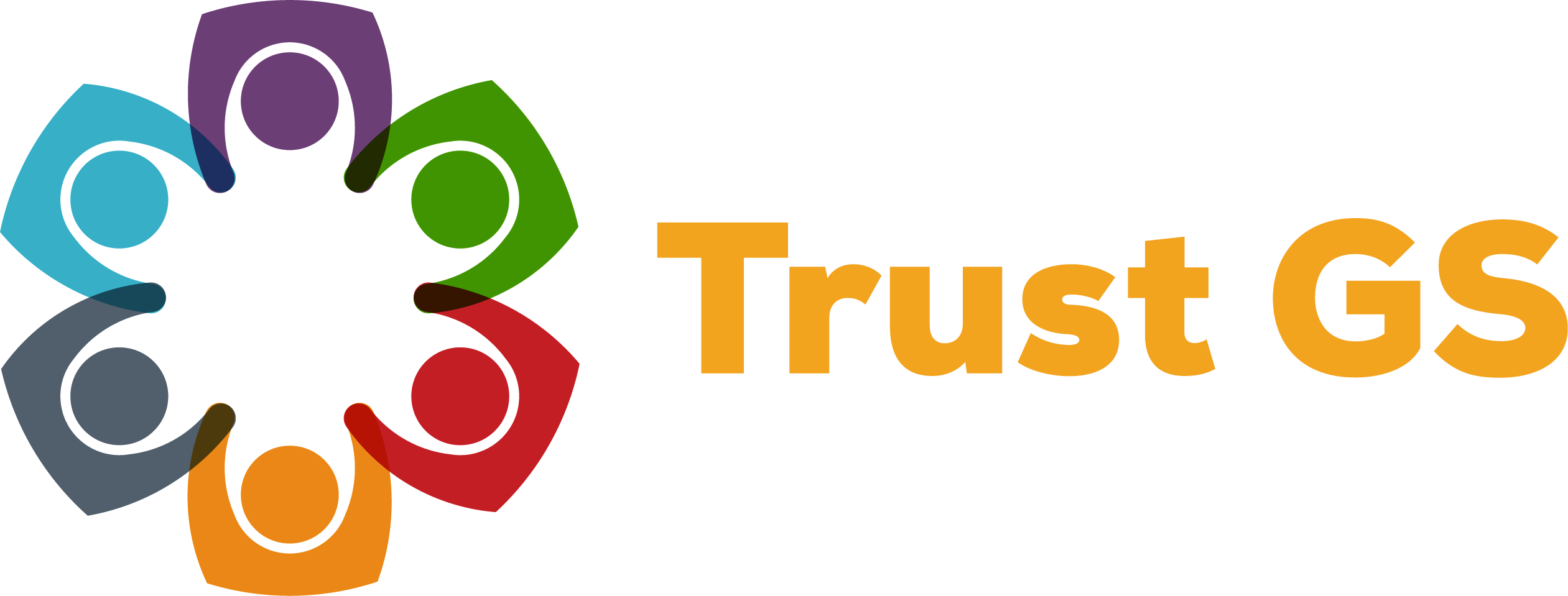 Trust Governor Services - Vector Graphics (2521x959)