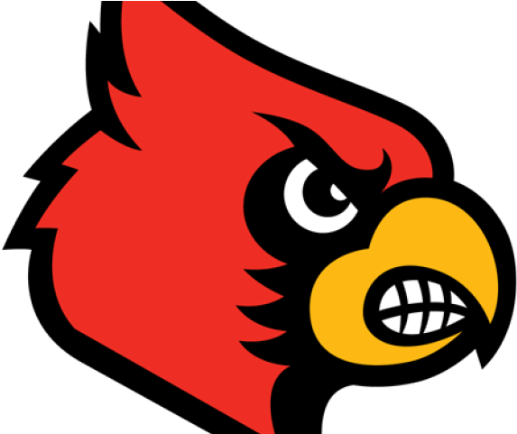 Cardinal Clipart Kentucky - Cardinal Bellaire High School (640x480)