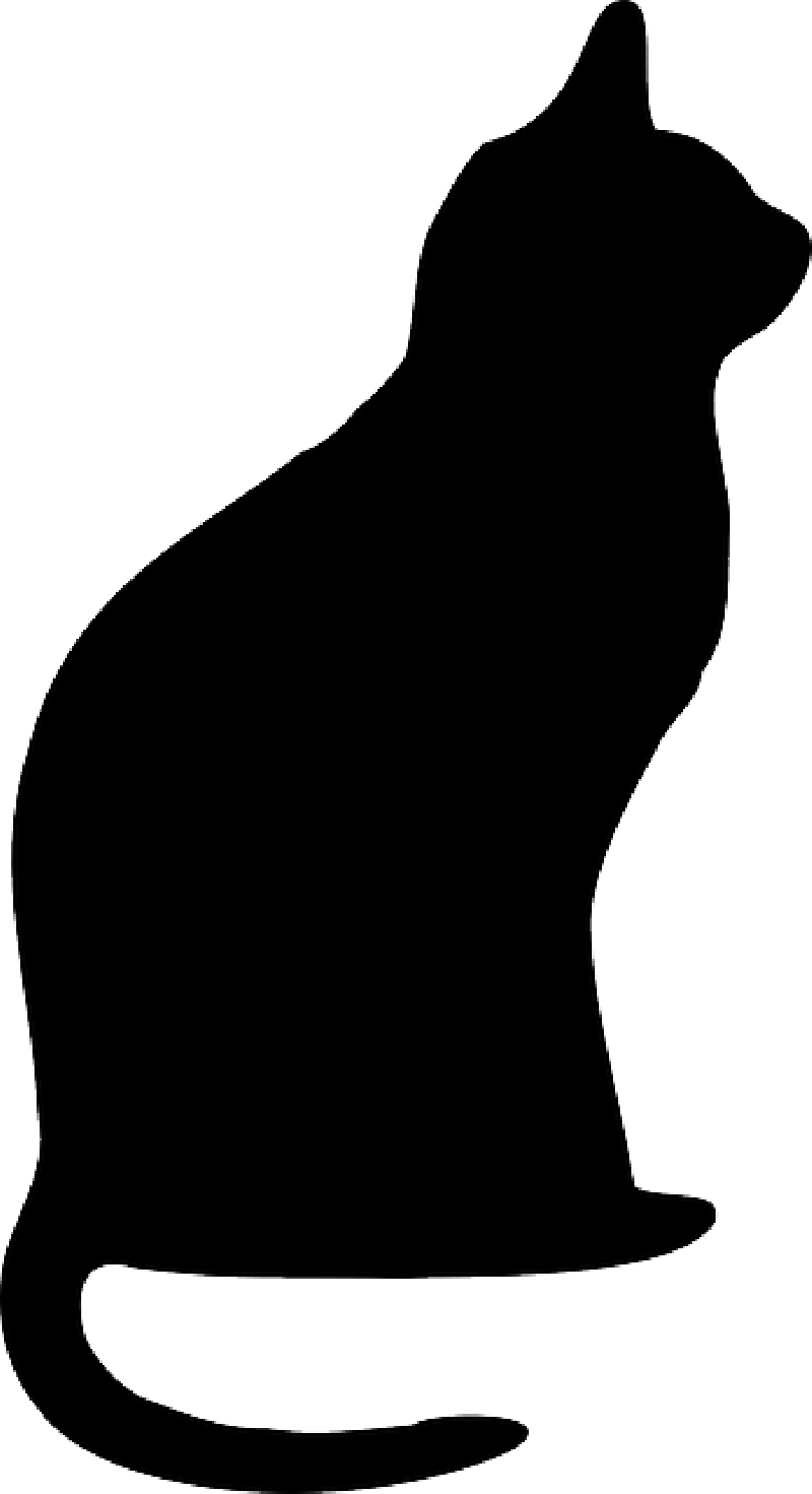 Cat, Halloween, Black, Silhouette, Spooky, Animal, - Cat Silhouette Clip Art (800x1471)