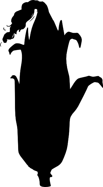 Corn Stalk Silhouette Png (330x599)