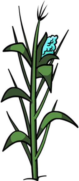 Minty Fresh Canadian Corn Stalk By Reitanna-seishin - Planta De Maiz Png (309x612)