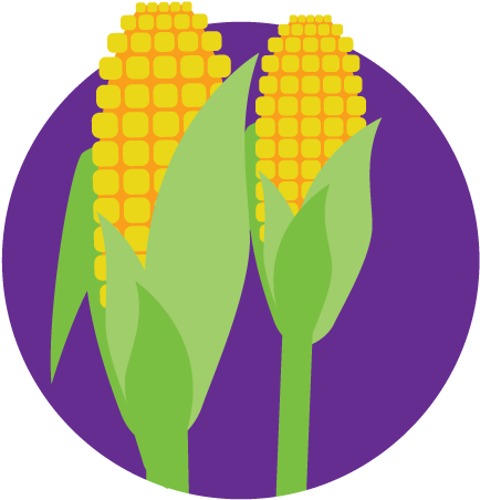 Once People Lose Sight Of Your Service Or Product's - Gloucester Road Tube Station (438x468)