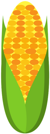 Corn Cob - Verduras Kawaii (581x800)