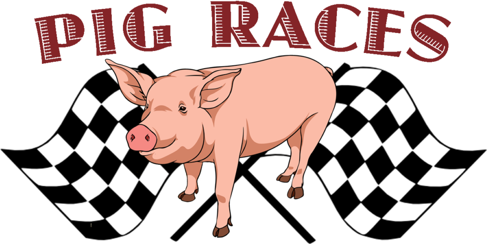 Pig Races And Entertainment - Race Flags Png (1024x556)