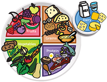 Food Plate Fun Pass Worksheet - Food Plate (416x337)