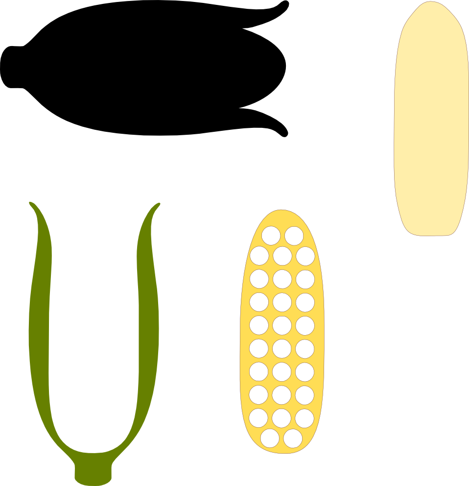 Food, Personal Use, Corncob, - Scalable Vector Graphics (958x992)