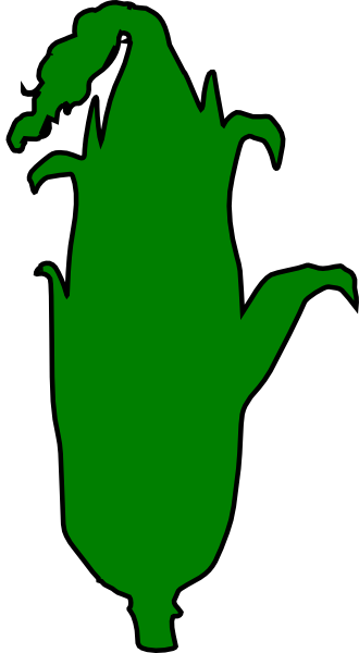 Green Corn Outline Clip Art At Clker - Maize (330x600)