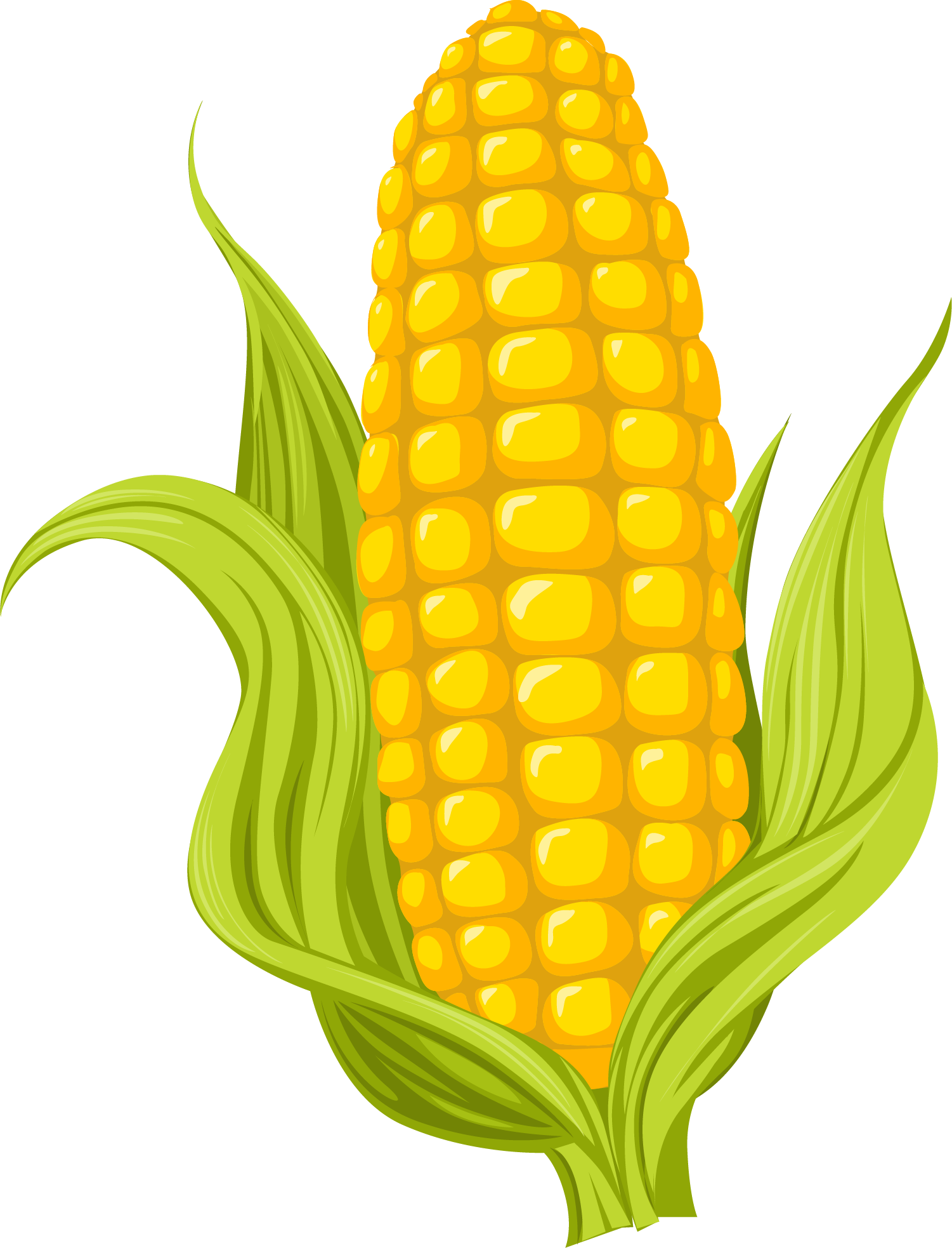 Cartoon corn images