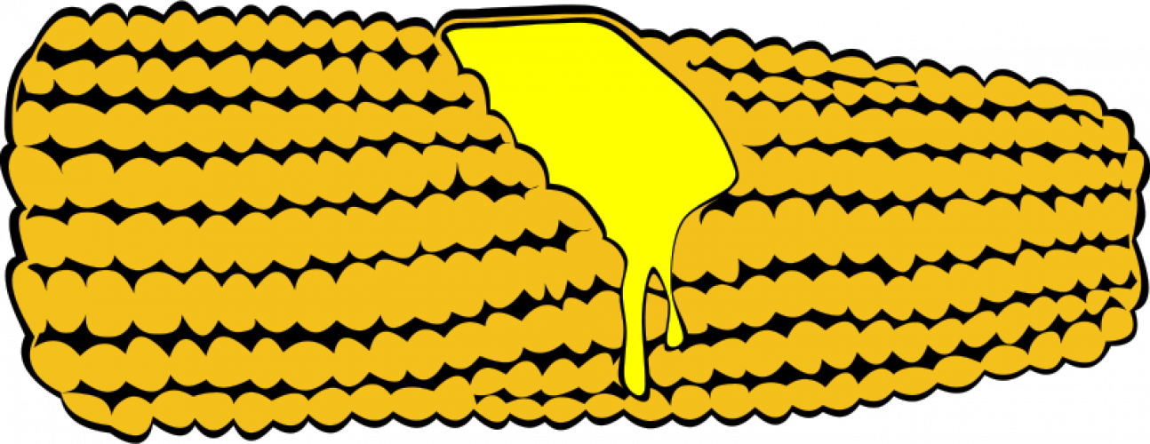 Vector Drawing Of Corn - Clip Art Corn On The Cob (1294x500)