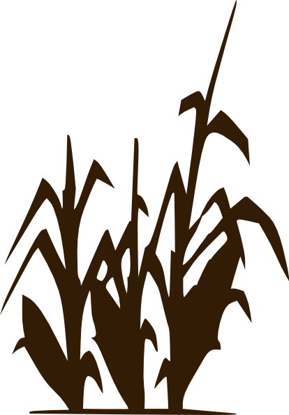 Stalk - Clipart - Lacto-fermentation Of Human Excreta For Agricultural (414x595)
