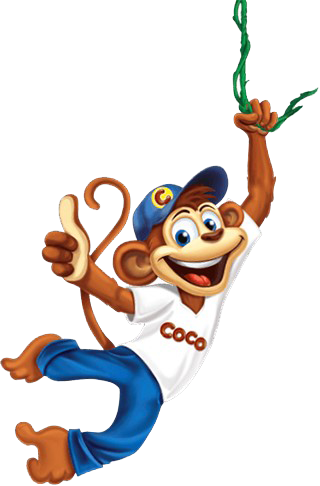 About Coco - Coco The Monkey Kelloggs (320x486)