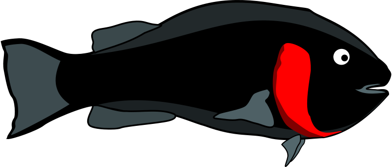 Get Notified Of Exclusive Freebies - Blackfish (800x341)