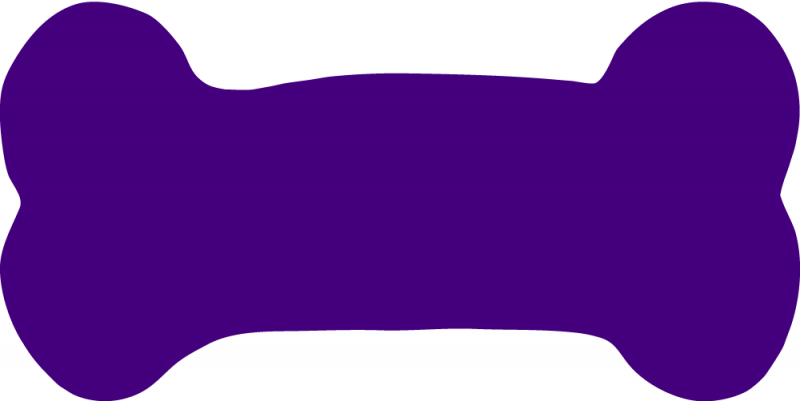 Custom Dog Bone Car Magnets - Domestic Short-haired Cat (800x401)