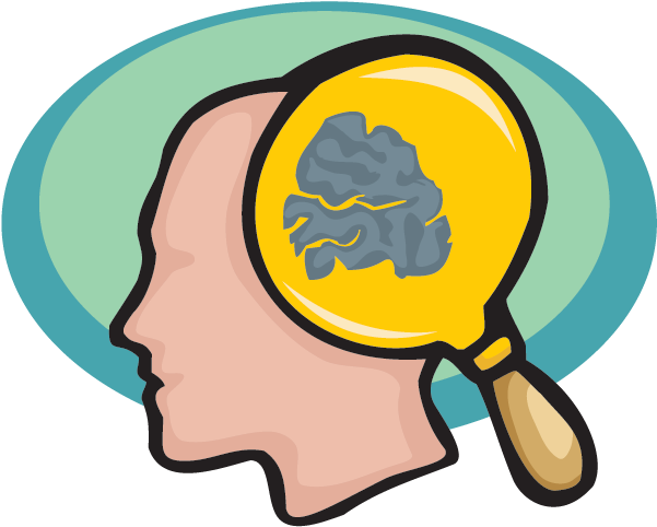 Brain - Brain Clip Art (640x481)