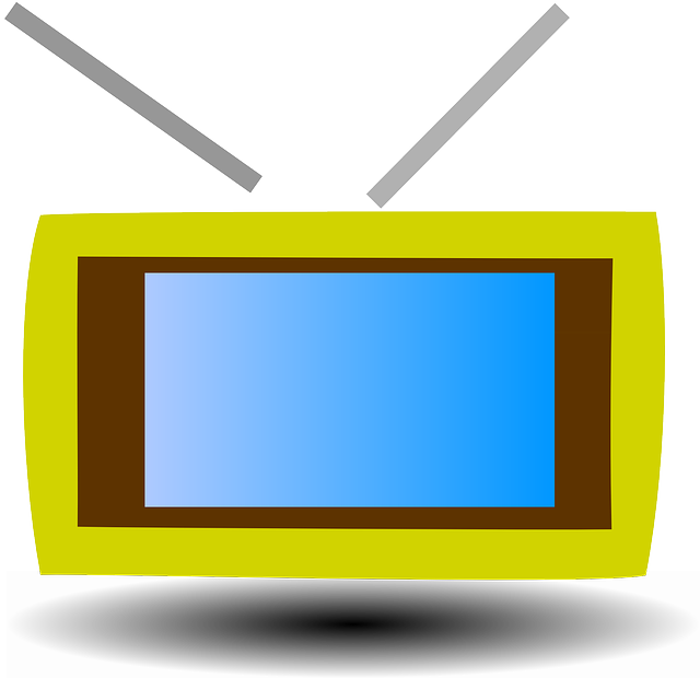 Screen, Icon, Television, Theme, Tv - Television (900x873)