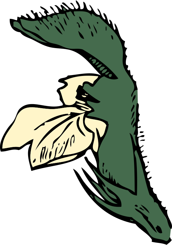 Flower Plant Clip Art At Clker Com Vector Clip Art - Clip Art (902x1280)