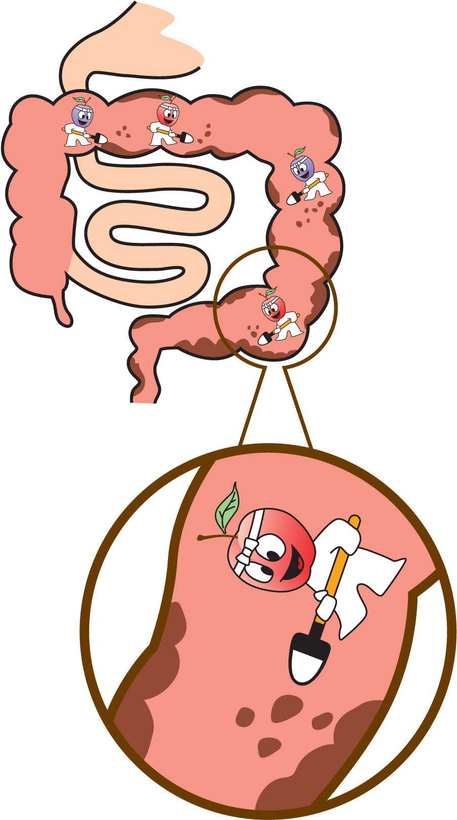 Detox - Gif Pencernaan (1758x1758)