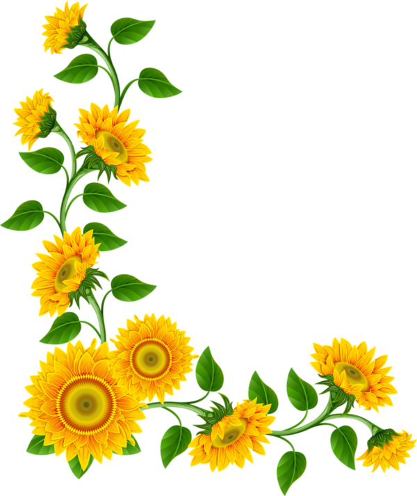 Corner Summer Cliparts - Sunflower Border Png (600x713)