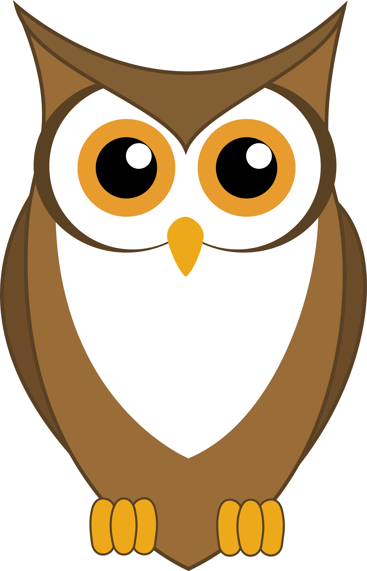 Clipart Of Baby Owl, Clipart Of Cute Owls, Clipart - Owl Vector (1542x2400)