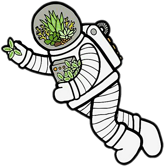 Space Astronaut Plant Leaf Plants Spaceman Outer Space - Sticker Cartoons (644x654)