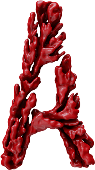 Red Coral Font - Illustration (595x595)