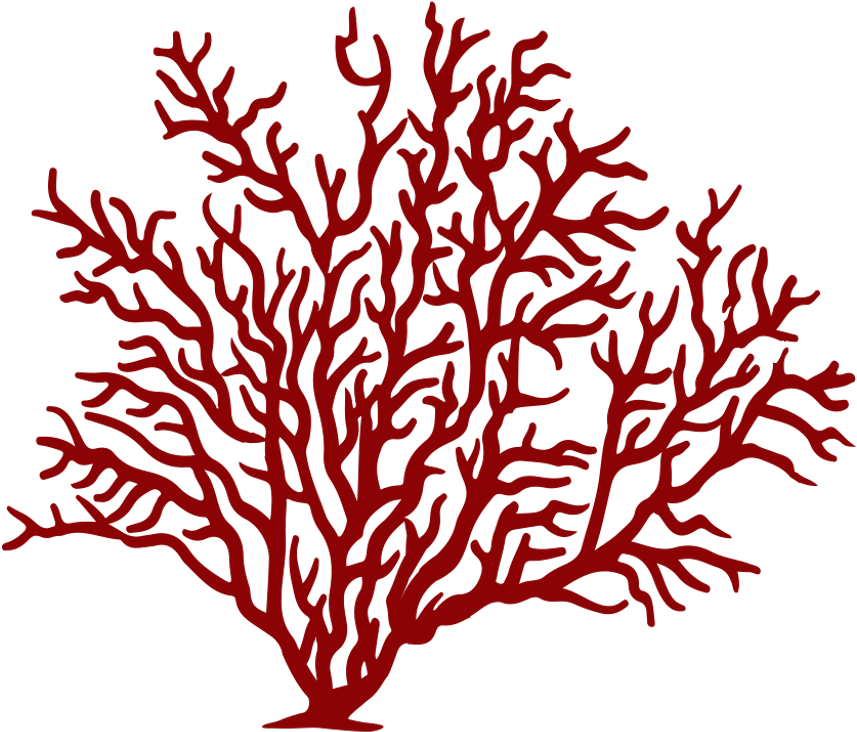 #coral #reef #fish #sea #red #freetoedit - Sea Fan Coral Png (1024x862)