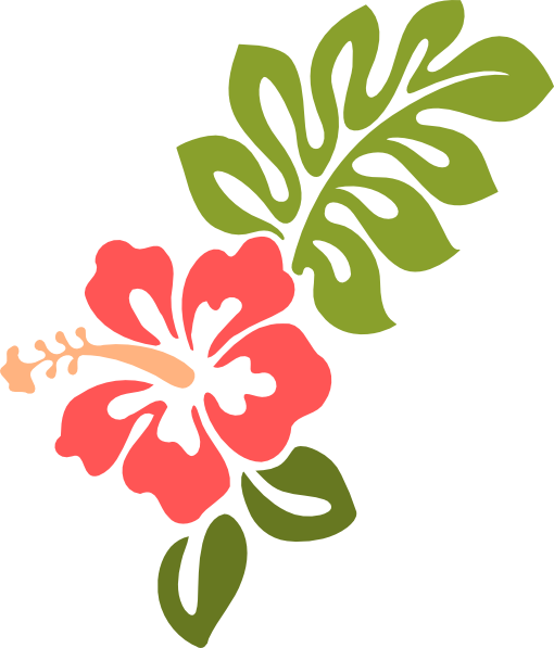 Coral Hibiscus Clipart - Coral Hibiscus Clipart (510x597)