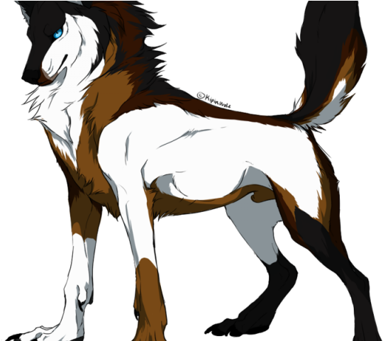 Drawn Werewolf Father - Male Cartoon Wolf (640x480)