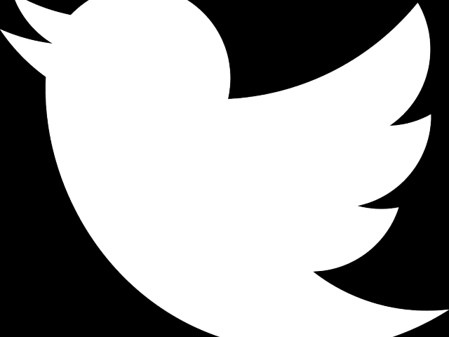 Instagram Clipart Transparent Background - Twitter Bird Png White (640x480)