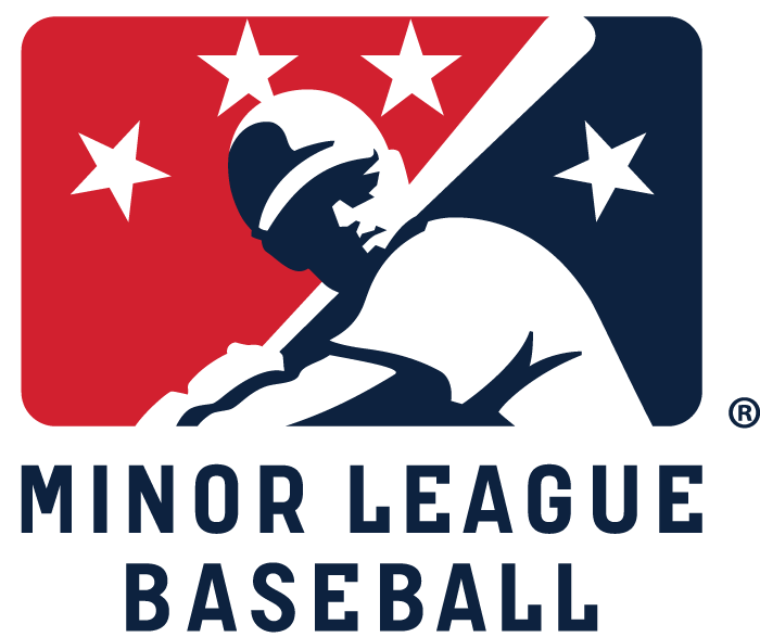 The Pbeo Job Fair - Minor League Baseball Logo Png (700x587)