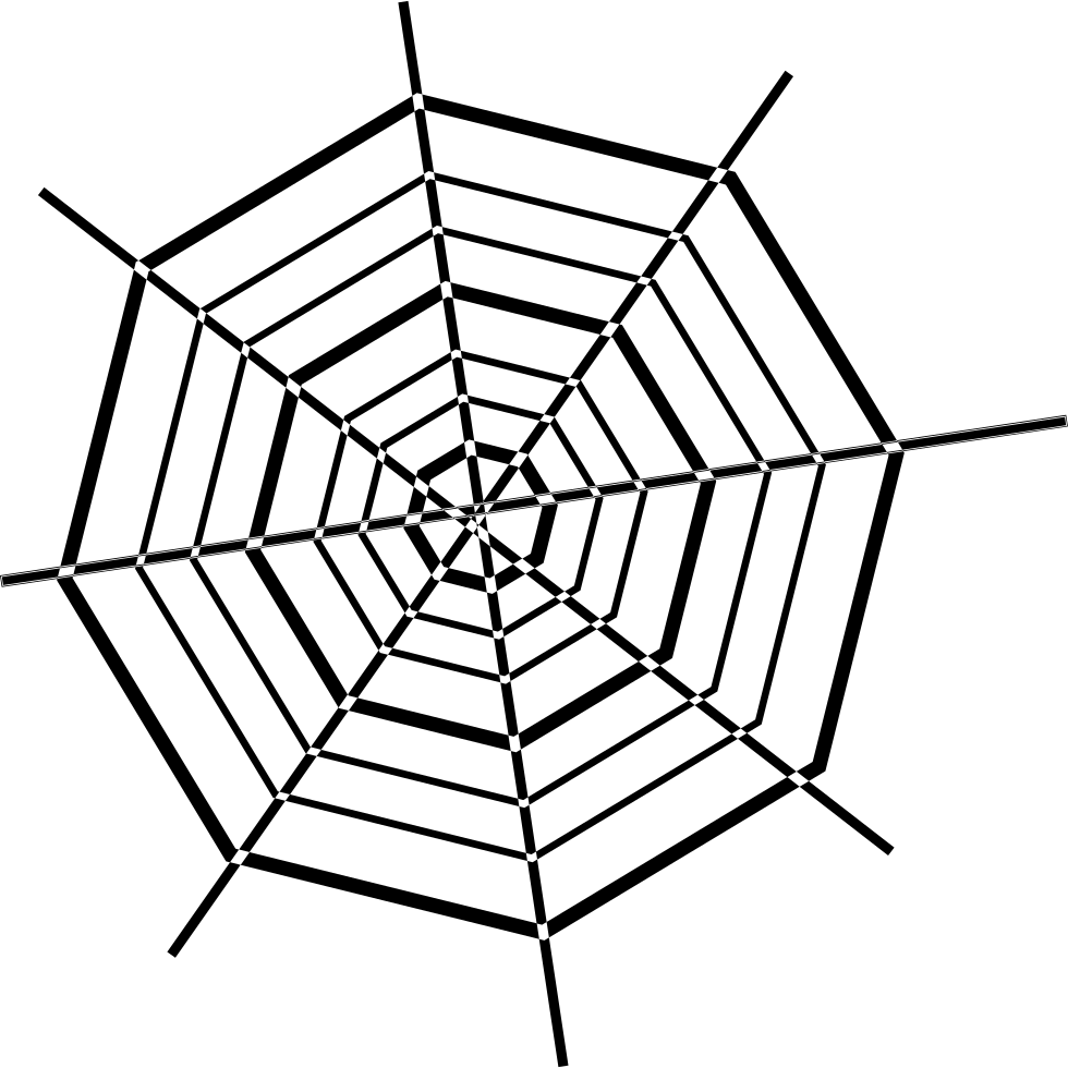 980 X 980 10 - Web Spider (980x980)
