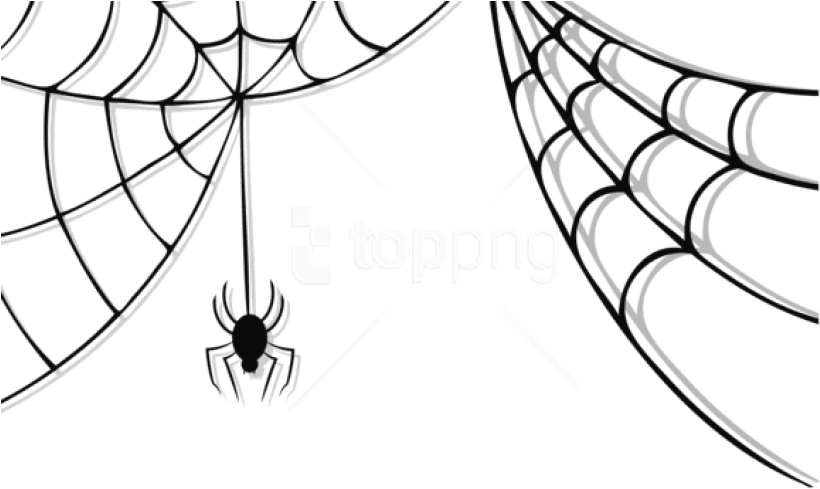 Free Png Download Haunted Spider And Web Png Images - Spider Web No Background (850x512)